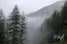 Tirol (56)