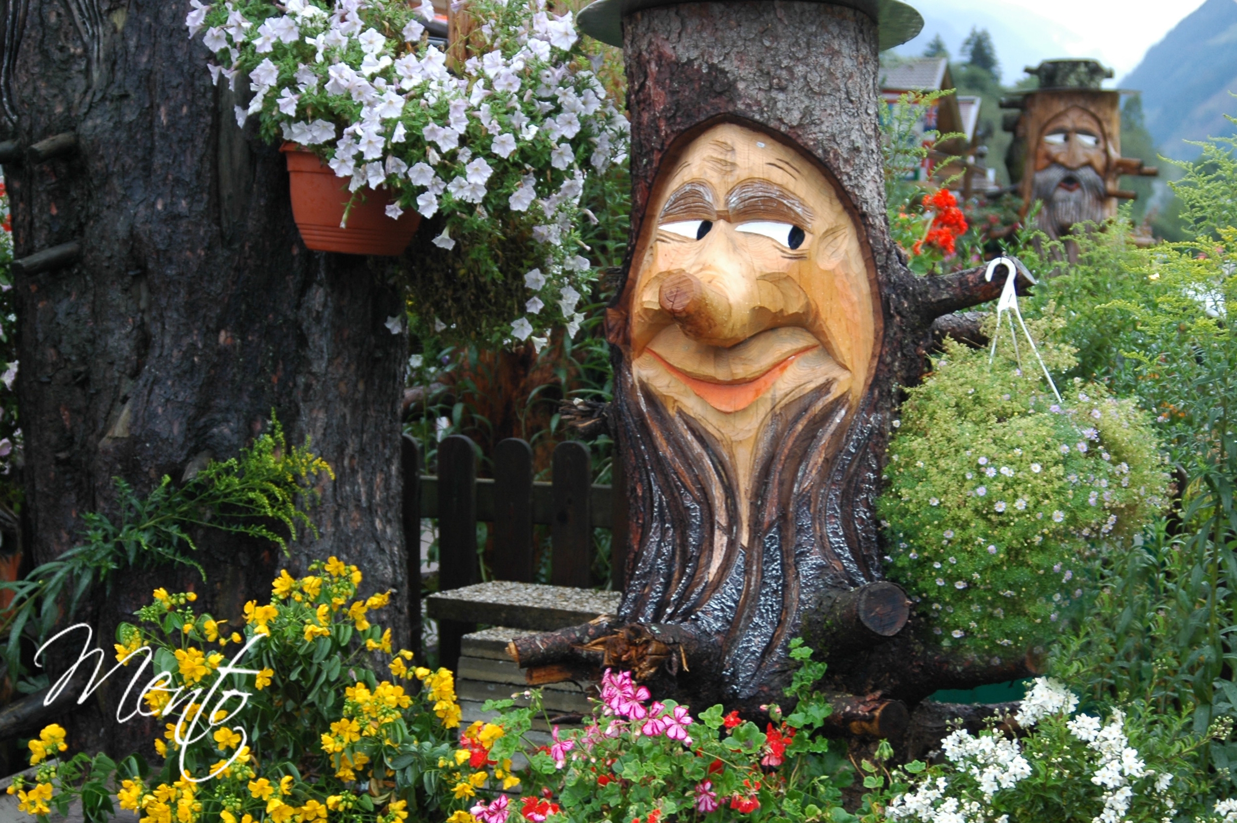 Tirol (61)