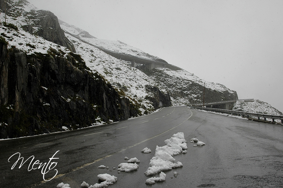 Valais (137)