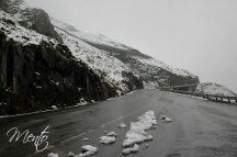 Valais (137)