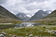 Suiza 11 061