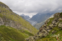Suiza 11 069