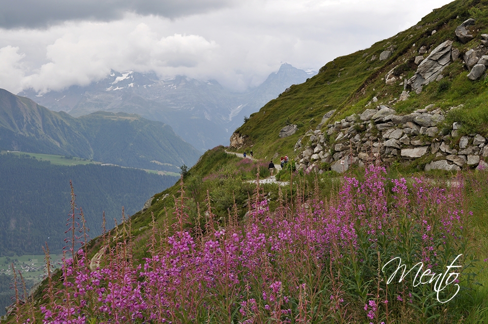 Suiza 11 084