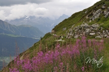 Suiza 11 084
