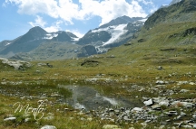 Suiza 16 050