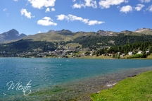 Suiza 16 131