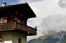 Suiza 8 101