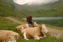suiza2 060