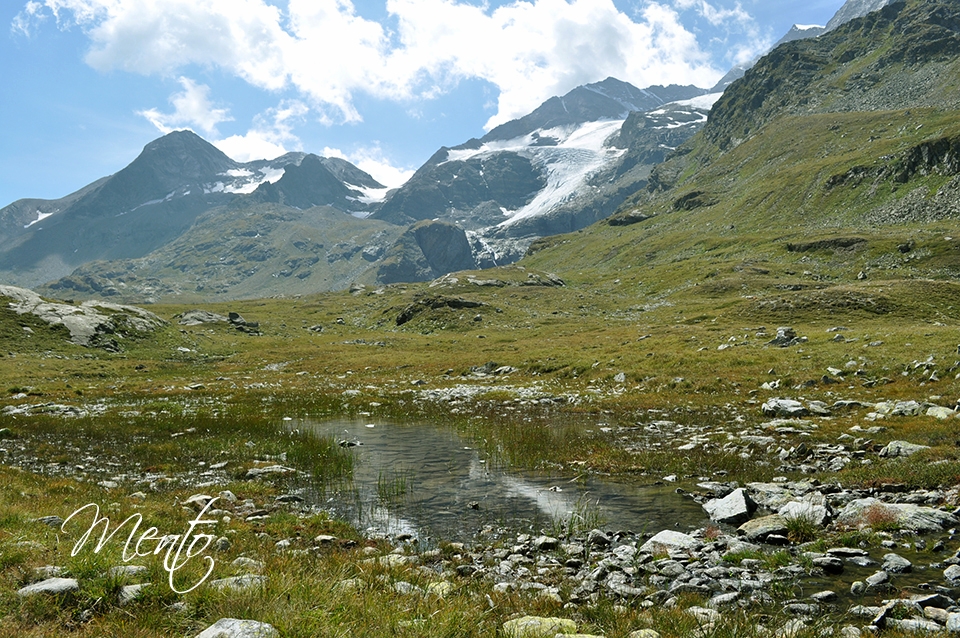 Suiza 16 050