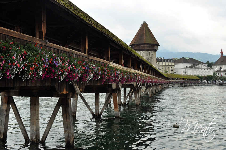 Suiza 4 045