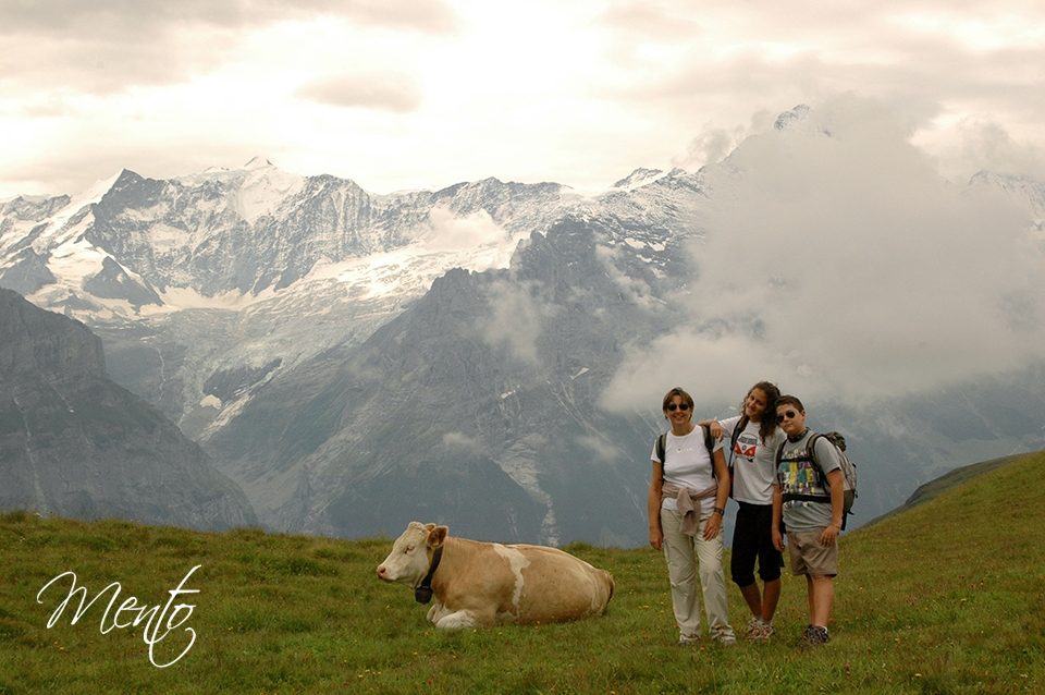 suiza2 030