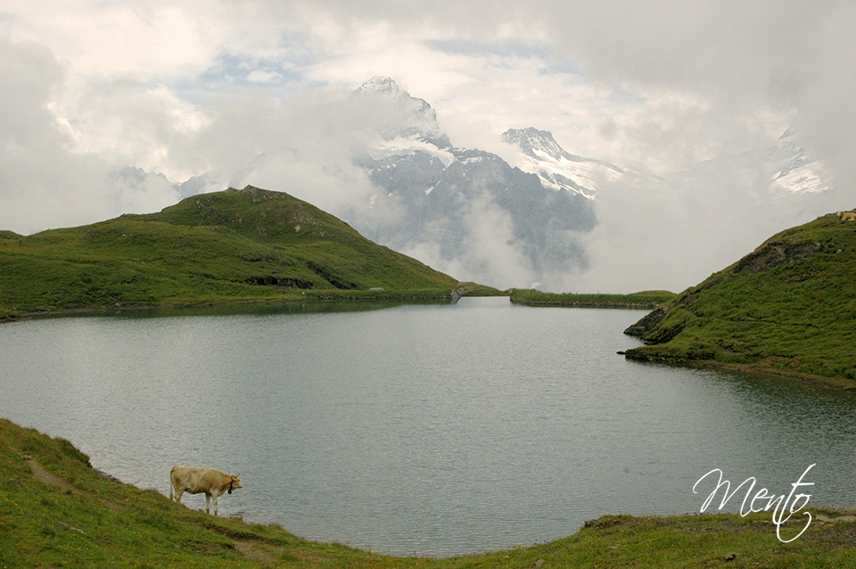 suiza2 042