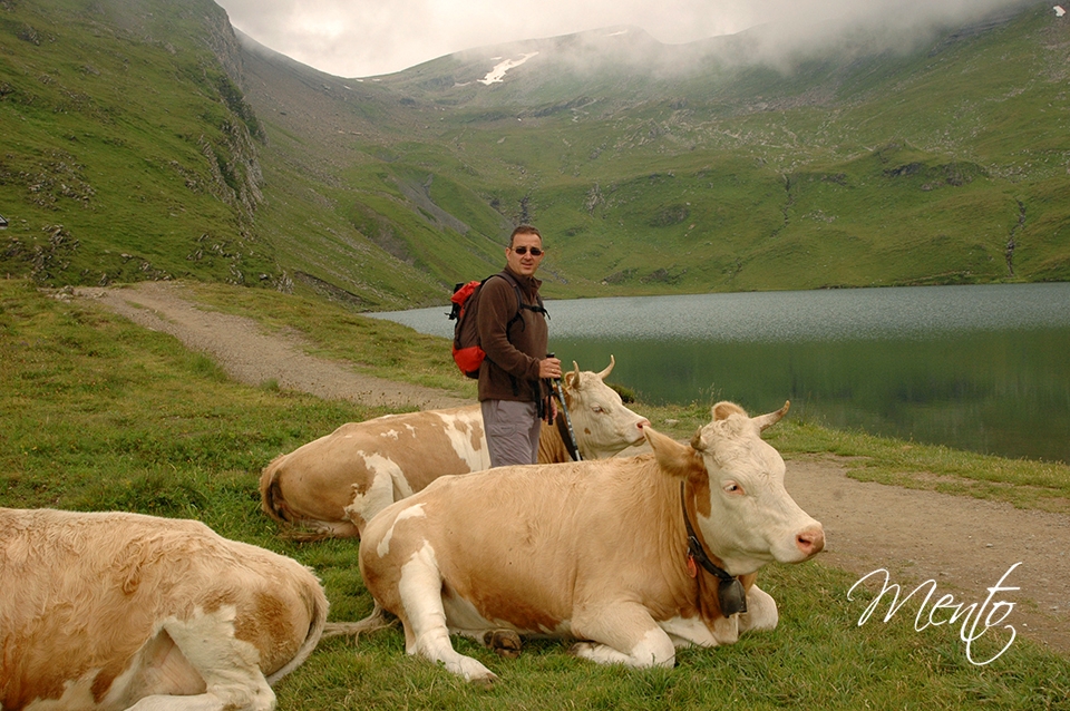 suiza2 060