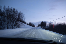 1_DSCF6446