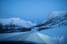 DSCF6845