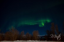 DSCF7029